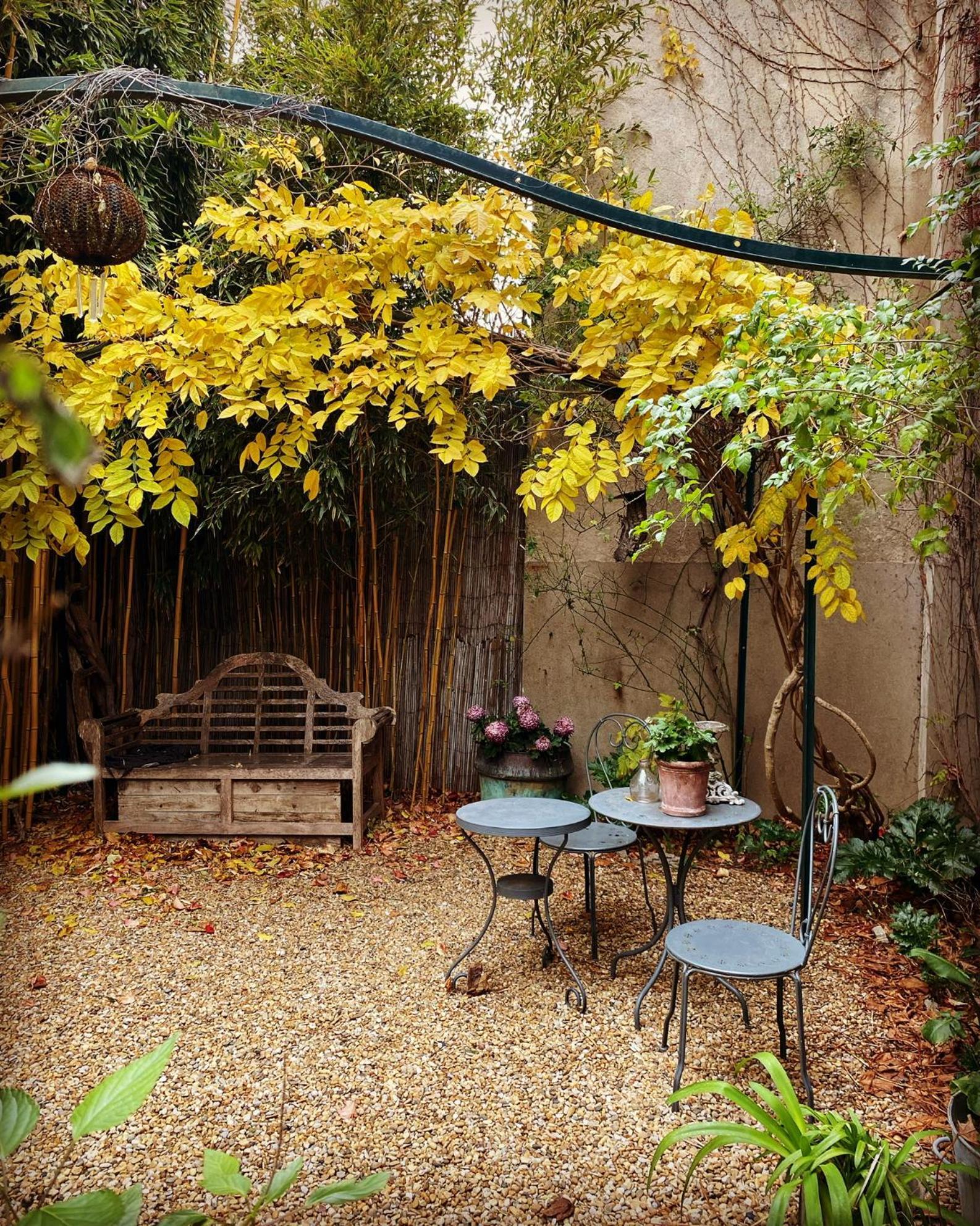 Le Logis Blanc Bed&Breakfast Coursan Екстер'єр фото