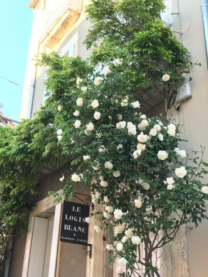 Le Logis Blanc Bed&Breakfast Coursan Екстер'єр фото
